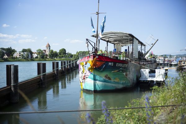 MS EVOLUTIE in Basel