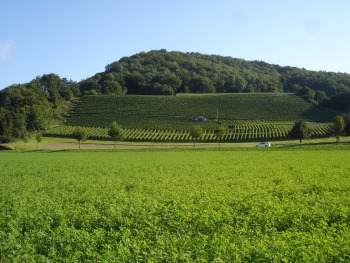 Räbhüüsli in Untersiggenthal