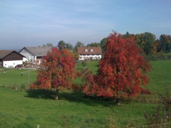 Ambiente auf dem Bauernhof in Oetwil am See