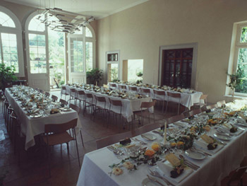 Orangerie im Arzneipflanzengarten in Basel