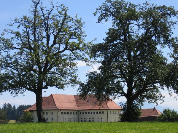 Kleiner Mehrzweckraum in Wädenswil