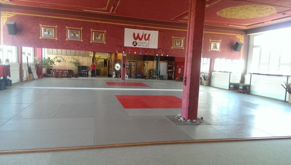Raum für Yoga, Tanzen, Meditation, TCM & Kampfkunst in Baar