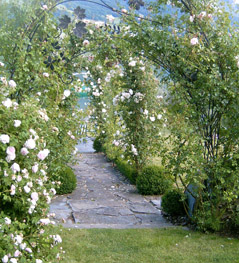 Rosengarten mit Café & Boutique in Avry-devant-Pont
