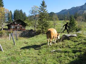 Haus Stampf in Sigriswil