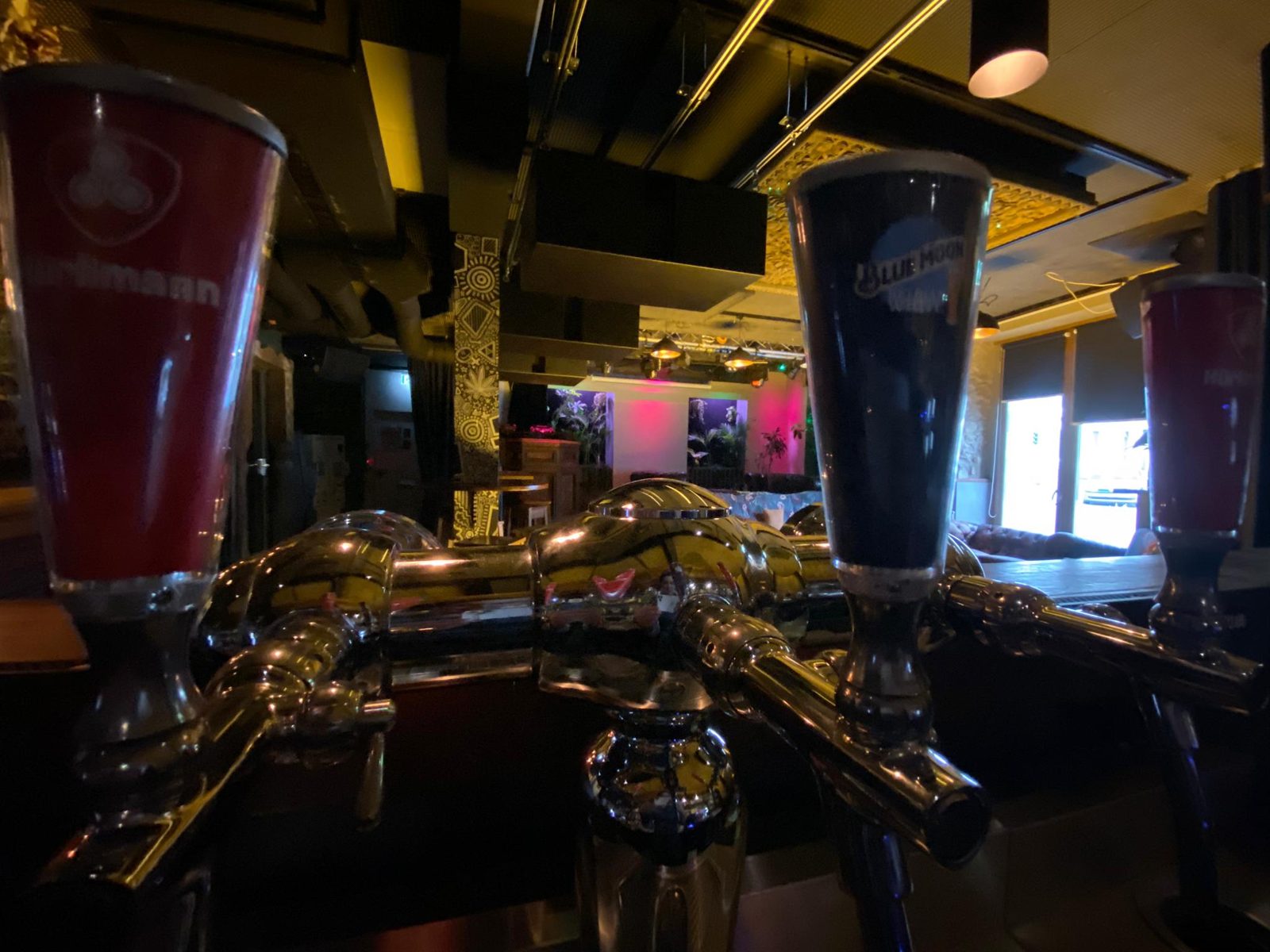 Green Klub, weiteres Bild