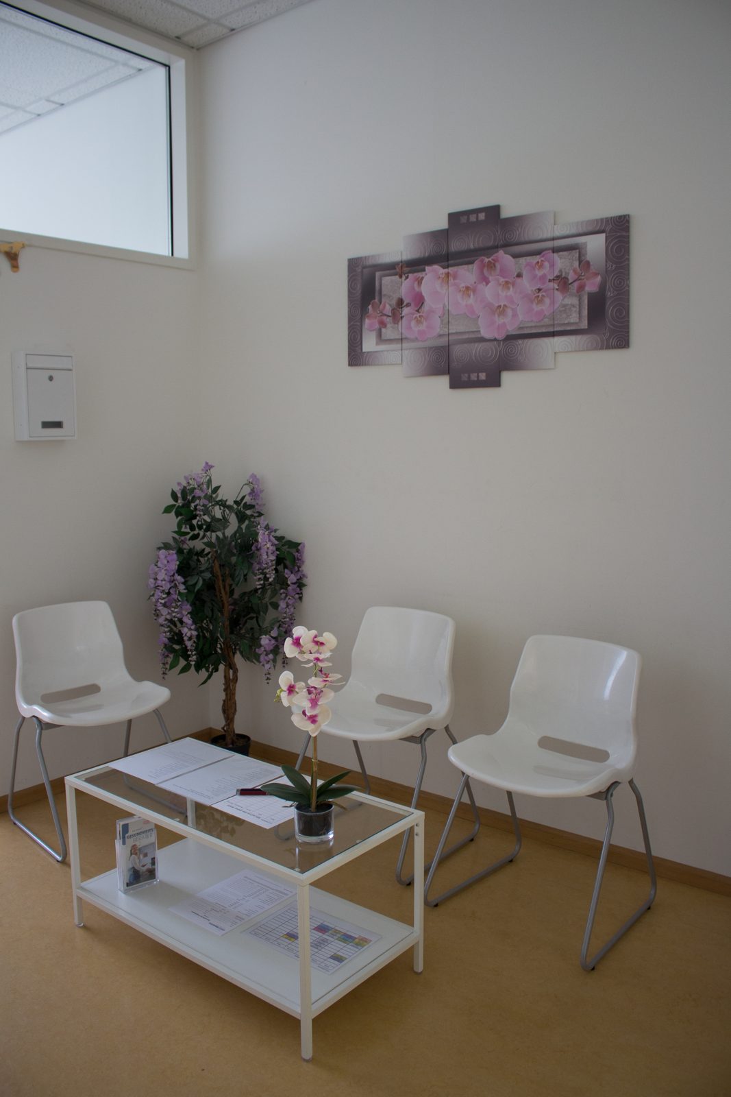 Studio Pilates Athletica- Lichtdurchfluteter Trainingsraum, weiteres Bild