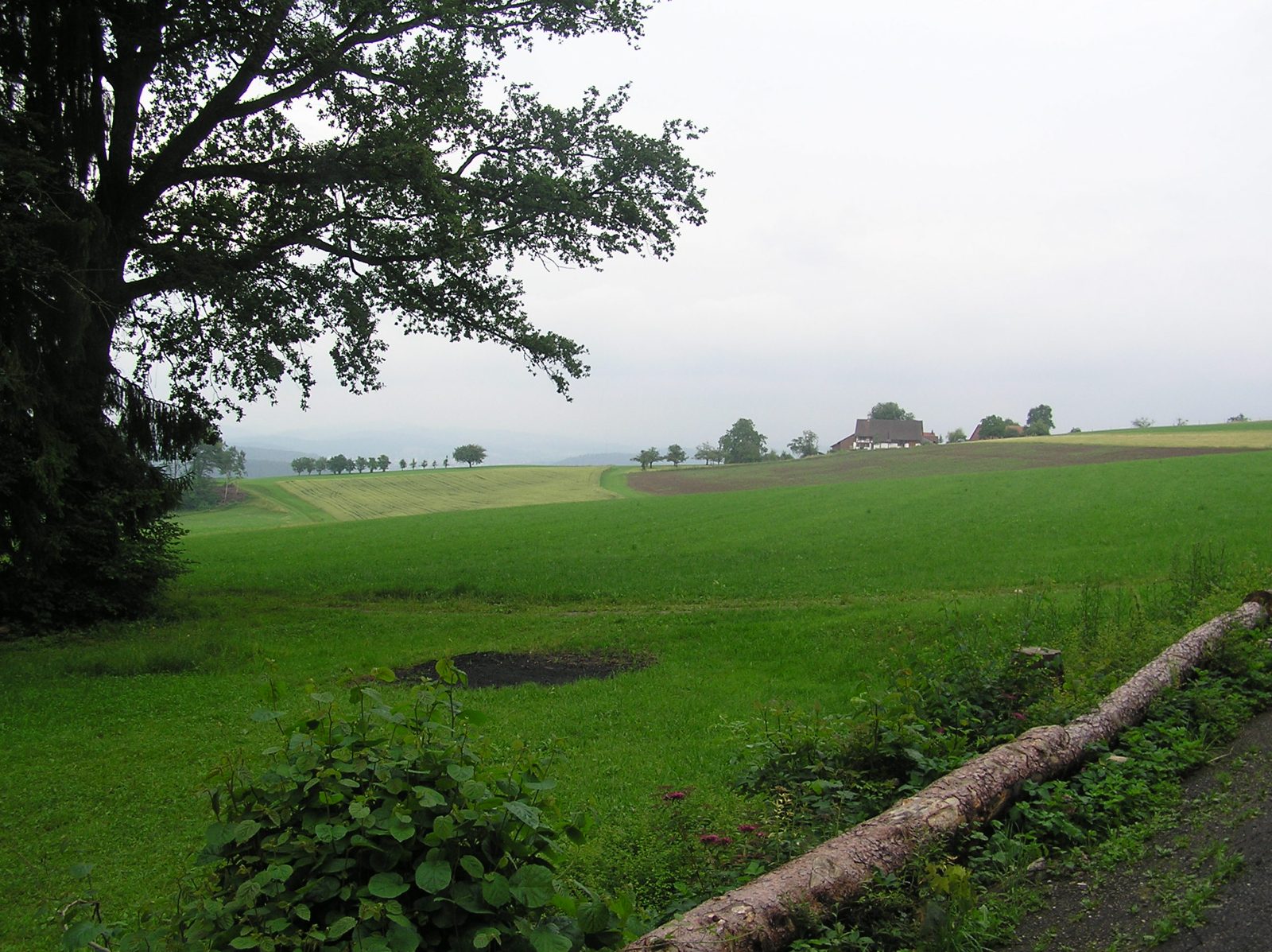 Pfadiheim Oberehueb, weiteres Bild