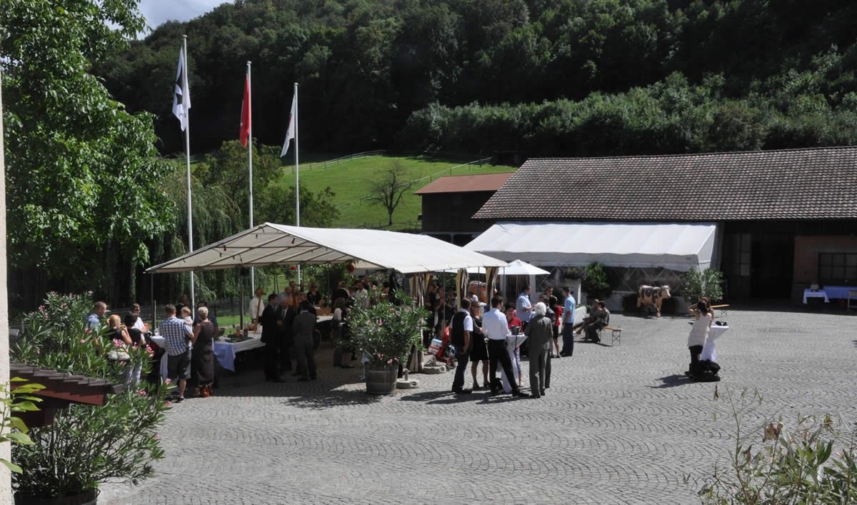 Weingut: Klushof Koellreuter, weiteres Bild