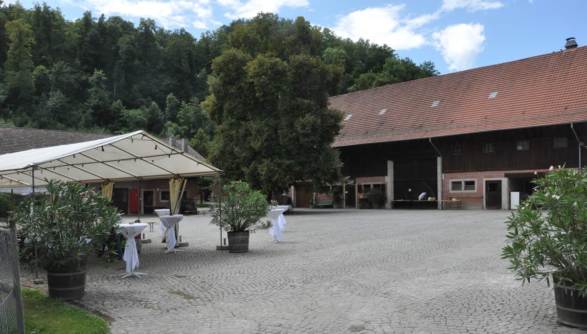 Weingut: Klushof Koellreuter, weiteres Bild