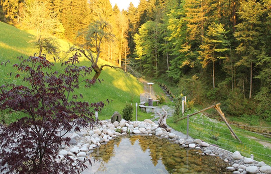Seminarraum indoor/outdoor für den Kader bis zu 32 TN, entspannt tagen., weiteres Bild