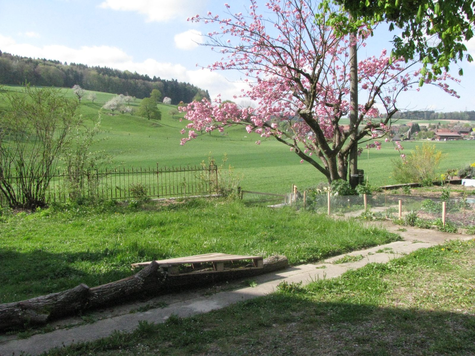 Sunne Stube Grasswil, weiteres Bild