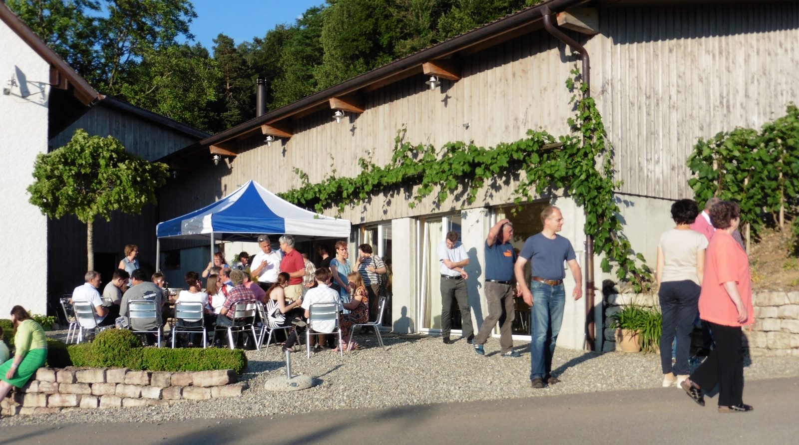 WeinPanorama, weiteres Bild