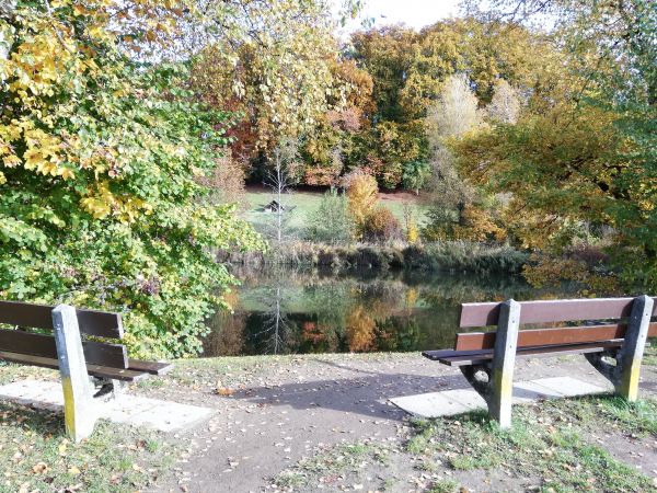 Sitzungen / Beratung