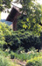 2739_05.jpg