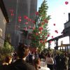 5099.jpg