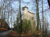 95_01.jpg